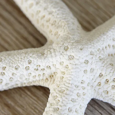 La Lisiere Du Betey 3* Andernos-les-Bains