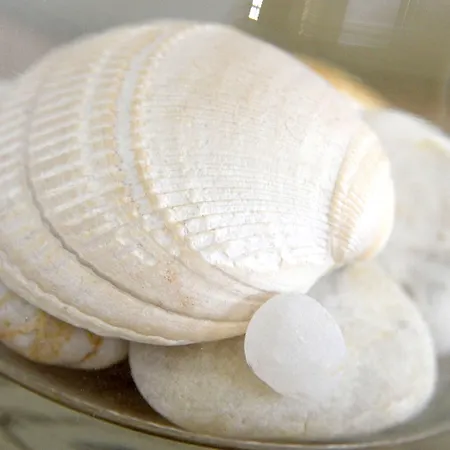 La Lisiere Du Betey Hotel 3*