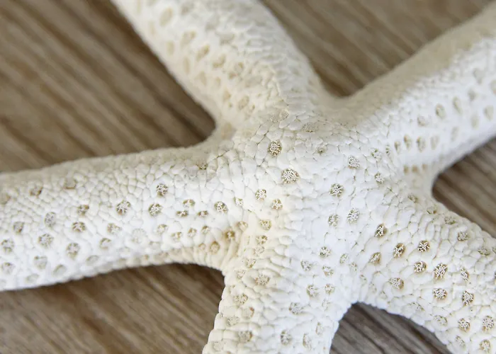 La Lisiere Du Betey 3* Andernos-les-Bains